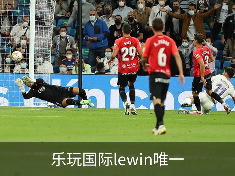 LEWIN·乐玩-(中国唯一)官方网站